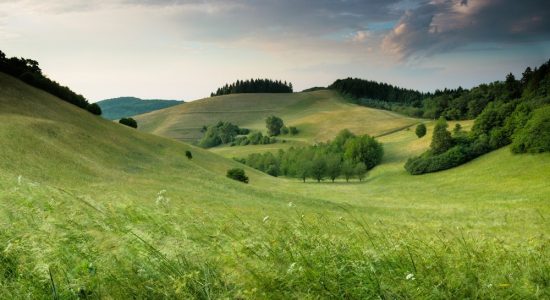 green field scenery