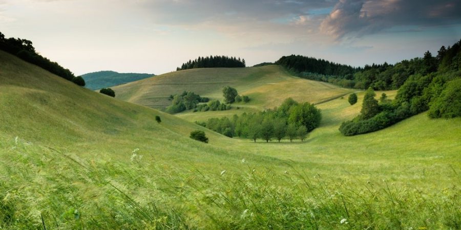 green field scenery