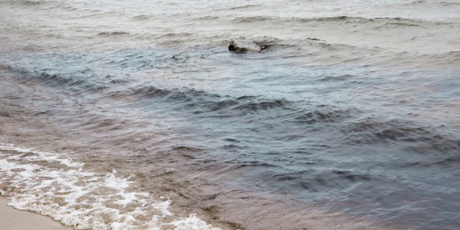 ocean shore view