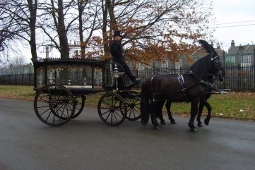 Black Horse Drawn hearse