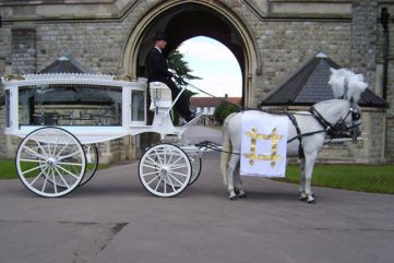 White Horse Drawn Hearse