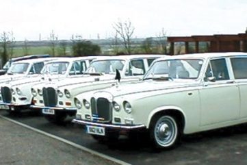 White Limousines