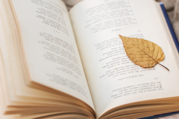 dried leaf on a book