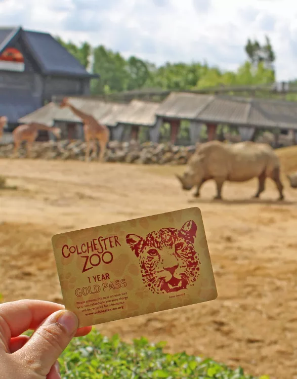 Win a Colchester Zoo Gold Pass